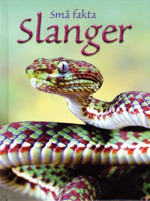 Slanger (E-bog)