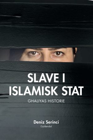 Slave i Islamisk Stat (E-bog)