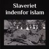 Slaveriet Indenfor Islam - Kirsten Valeur - Bog