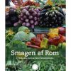 Smagen af Rom (E-bog)