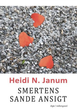 Smertens Sande Ansigt - Heidi N. Janum - Bog