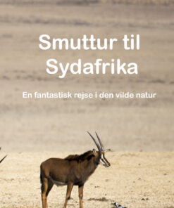 Smuttur til Sydafrika - En fantastisk rejse i den vilde natur. (E-bog)
