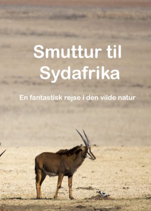 Smuttur til Sydafrika - En fantastisk rejse i den vilde natur. (E-bog)