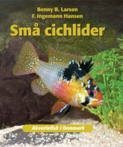 Små cichlider (Bog)
