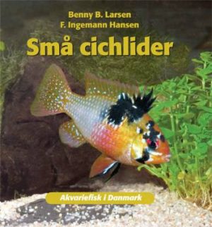 Små cichlider (Bog)