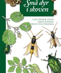 Små dyr i skoven (Bog)