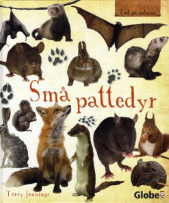 Små pattedyr (Bog)