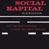 Social kapital (Bog)