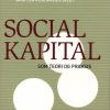 Social kapital som teori og praksis (Bog)