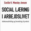 Social læring i arbejdslivet (Bog)