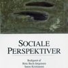 Sociale perspektiver (E-bog)