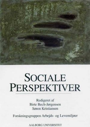 Sociale perspektiver (E-bog)