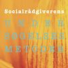 Socialrådgiverens Undersøgelsesmetoder - Tine Nielsen - Bog