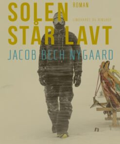 Solen står lavt (Bog)