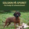 Solskin På Sporet - Anne Egede - Bog