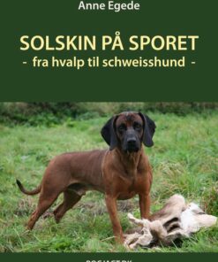 Solskin På Sporet - Anne Egede - Bog