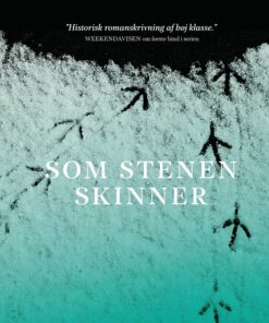 Som Stenen Skinner - Britt Karin Larsen - Bog
