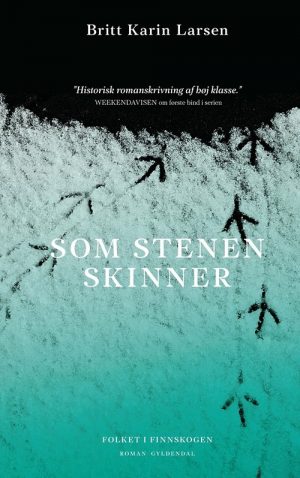 Som Stenen Skinner - Britt Karin Larsen - Bog