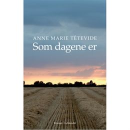 Som dagene er - Hæftet