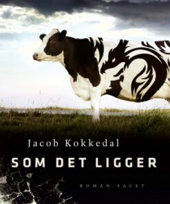 Som det ligger (E-bog)