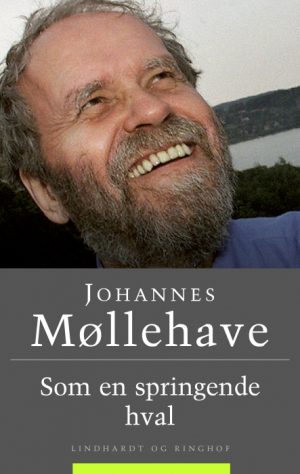 Som en springende hval (E-bog)