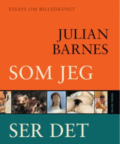 Som jeg ser det (Bog)