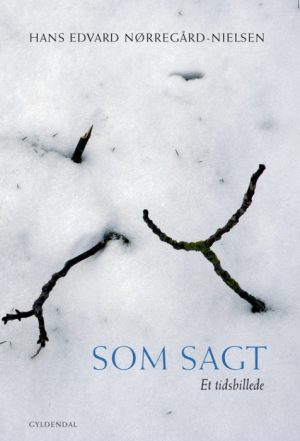 Som sagt (Bog)
