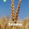 Sommer, Grøn Fagklub (Bog)