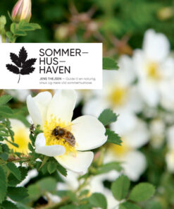 Sommerhushaven (Bog)