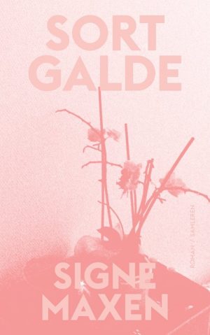 Sort Galde - Signe Maxen - Bog