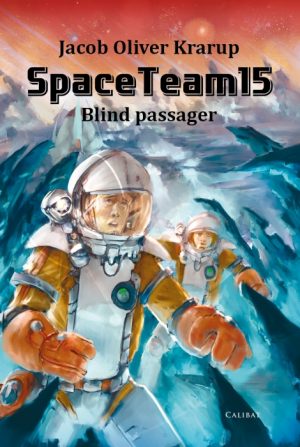 Spaceteam15 (Bog)