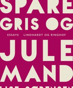 Sparegris og julemand (E-bog)