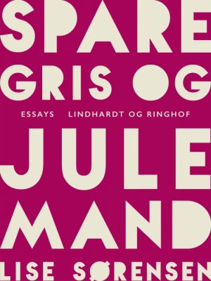 Sparegris og julemand (E-bog)