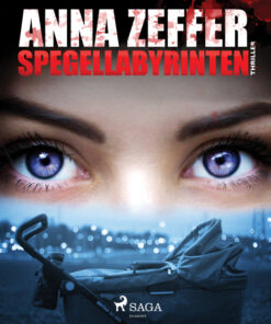 Spegellabyrinten (E-bog)