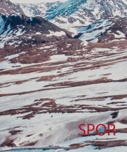 Spor (Bog)