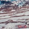 Spor - Hans Rosenfalck - Bog