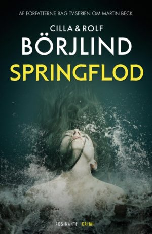 Springflod (E-bog)