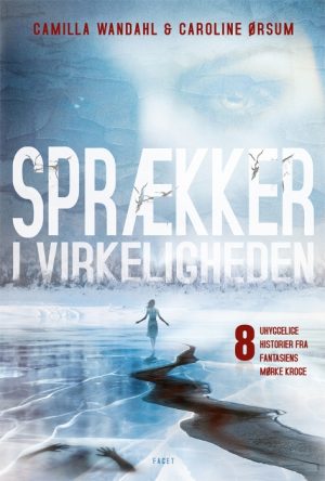 Sprækker i virkeligheden (Bog)