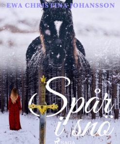 Spår i snö (E-bog)