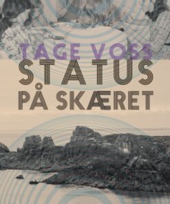 Status på skæret (E-bog)