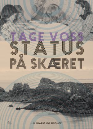 Status på skæret (E-bog)