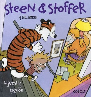 Steen & Stoffer 5: Hjemlig psyke (Bog)