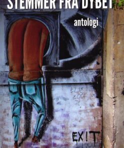 Stemmer Fra Dybet - Dorte Hummelshøj Jakobsen - Bog