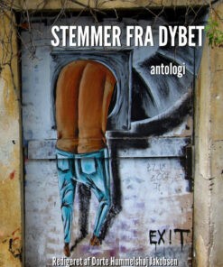 Stemmer fra dybet (E-bog)