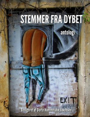 Stemmer fra dybet (E-bog)