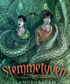 Stemmetyven 2 - Slangegraven (Bog)