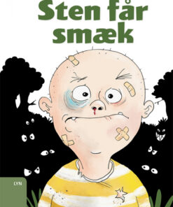 Sten får smæk (E-bog)