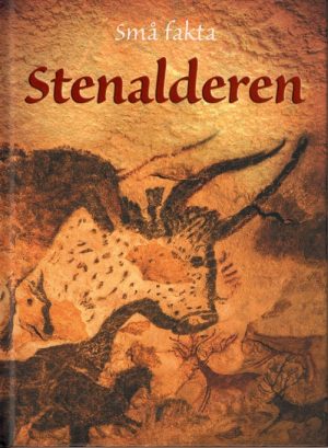 Stenalderen (E-bog)