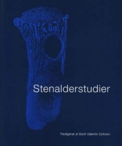 Stenalderstudier (Bog)