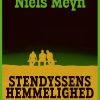 Stendyssens hemmelighed (E-bog)